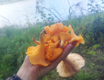 Сплав по реке Шуя