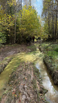 К лесному водопаду Гремучий ручей