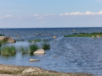 Велопрогулка вдоль залива к форту Красная Горка