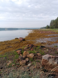 Белое море на морских каяках (байдарках): Карельский берег