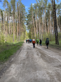 Река Желовь и сосновые леса на дюнах
