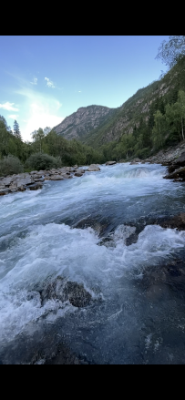 Сплав по рекам Чуя и Катунь