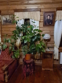 Поход на байдарках по реке Шерна с ночевкой в купеческом доме