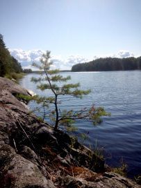 Водное ассорти с детьми: на лодках, байдарках, сапах
