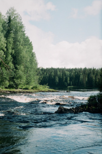 Сплав по реке Шуя