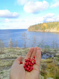 Ладога на каяках длинный поход (4-9 дней)