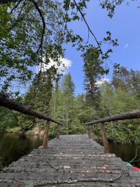 Оредеж — прогулка на байдарках (1 день)