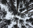 Поход на сапах по реке Нерская с ночевкой в палатках