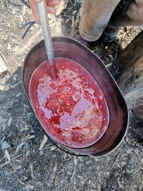 Сплав по реке Писта (Пистайоки) на байдарках