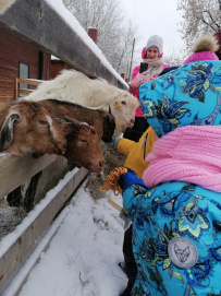 Однодневный детский поход «Исследователи природы»