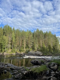 Сплав по реке Шуя