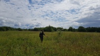 Пеший поход к Гатчинским гейзерам