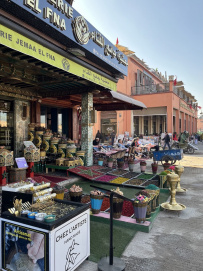 Все цвета королевства контрастов
