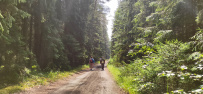 Пеший поход «Легенды и тайны Вербилковского фарфора»