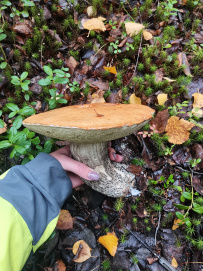 Сплав по реке Умба