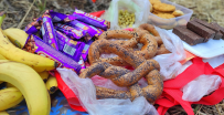 Прогулка вокруг парка Монрепо на каяках (байдарках)