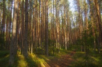 Сплав по реке Воньга и Белое Море на байдарках