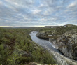 Северный прорыв: водопадные реки Кольского (Лица, Титовка, Ура, Колвица)
