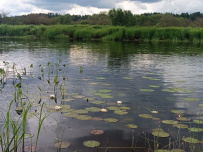 Каньон реки Ящеры