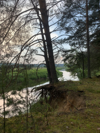 Сплав на байдарках по реке Осуга
