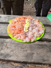 Сплав по реке Умба