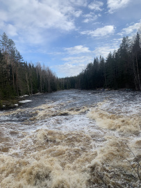 Сплав по реке Укса (Уксунйоки)