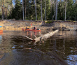Сплав по реке Поля «Cквозь лес на байдарках»