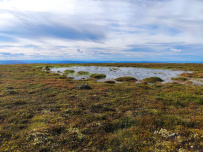 Колвица на морских каяках (байдарках). Путешествие на землю Саамов