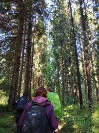 Пеший поход в Каннельярви