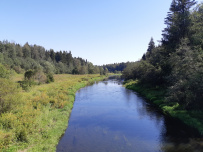 Золотьковский водопад и Ратовский овраг