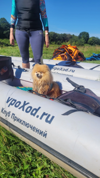 Сплав по реке Угра с посещением Никола-Ленивца 