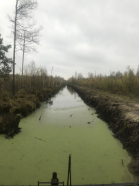 Однодневный поход «Тайны Туголесских озёр»