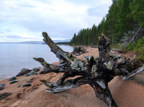 Колвица на морских каяках (байдарках). Путешествие на землю Саамов
