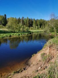 Сплав по реке Оредеж на пакрафтах