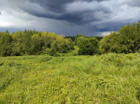 Земля колдунов:поход в Вепсский лес (разведка)