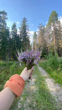 Пеший поход в Каннельярви