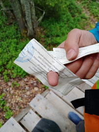 Сплав по реке Умба