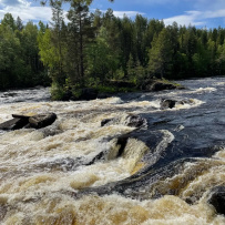 Сплав по реке Кереть и Белое море