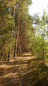 Сплав по реке Киржач на байдарках с баней на берегу