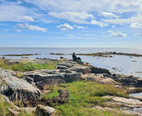 Петроглифы Беломорья