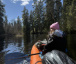 Сплав по реке Поля «Cквозь лес на байдарках»