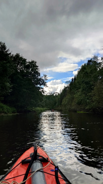Оредеж — прогулка на байдарках (1 день)