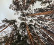 Сплав с баней по реке Клязьма