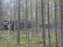 Закрытие водного сезона КП