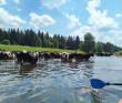 Сплав на байдарках по реке Осуга