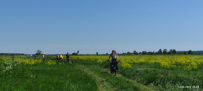 Велопоход в арт-парк Никола-Ленивец