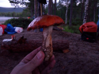 Колвица на морских каяках (байдарках). Путешествие на землю Саамов