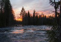 Сплав по реке Шуя на майские