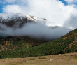 Высокогорный Национальный заповедник Чегем