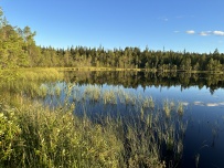 Крыша Карелии (национальный парк Паанаярви)